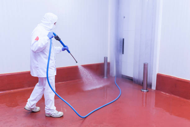 Best Solar Panel Cleaning  in Leesburg, FL